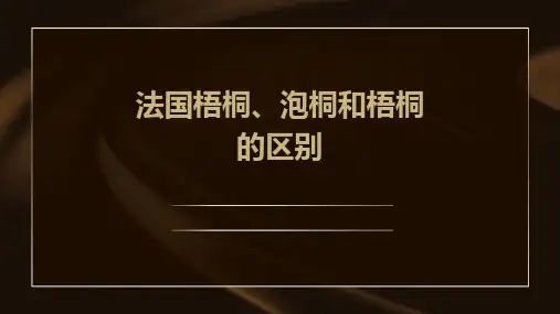 法国梧桐、泡桐和梧桐的区别