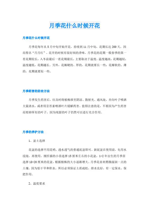 月季花什么时候开花