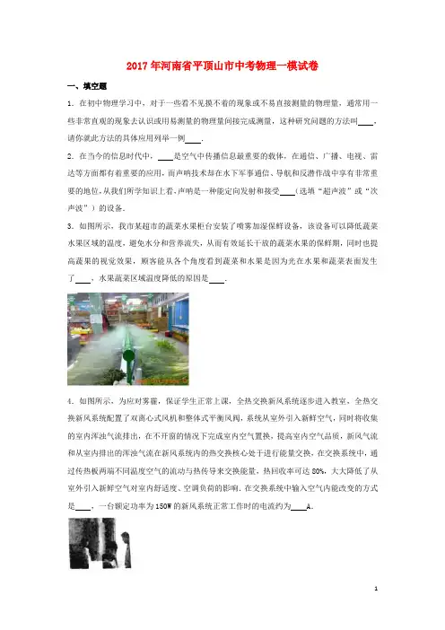 河南省平顶山市2017届中考物理一模试卷(含解析)