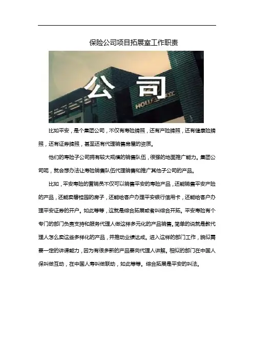 保险公司项目拓展室工作职责