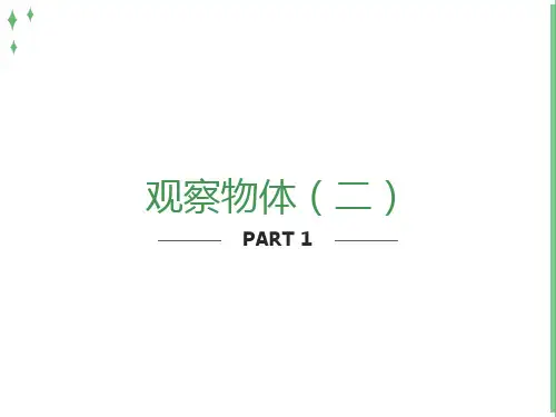 小学四年级下册数学观察物体PPT课件