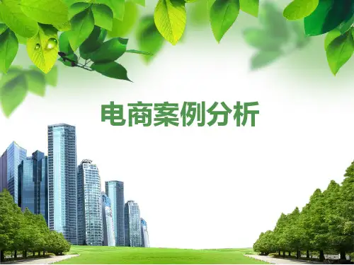 电子商务案例分析PPT课件