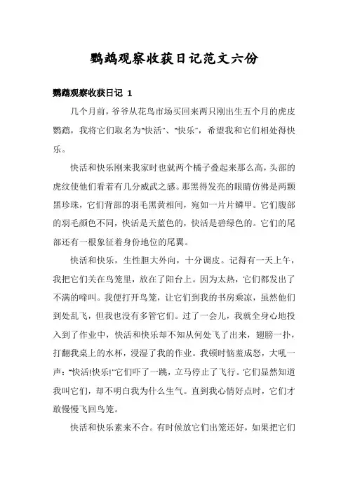 鹦鹉观察收获日记范文六份