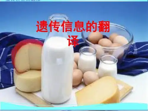 遗传信息的翻译ppt2 人教课标版