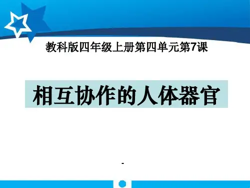 相互协作的人体器官-PPT课件 