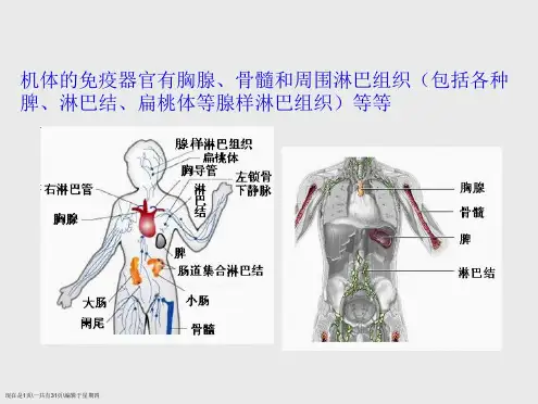 淋巴细胞亚群的临床应用