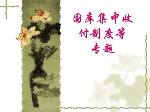 国库集中收付制度.ppt