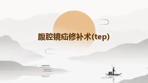 腹腔镜疝修补术(TEP)