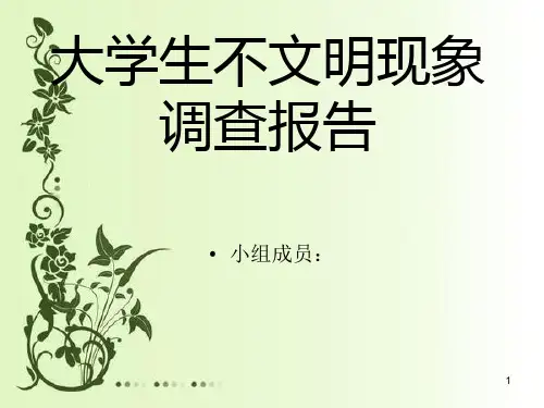 大学生不文明现象调查报告PPT课件