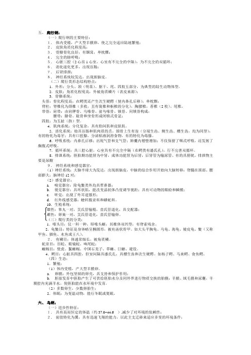 爬行纲