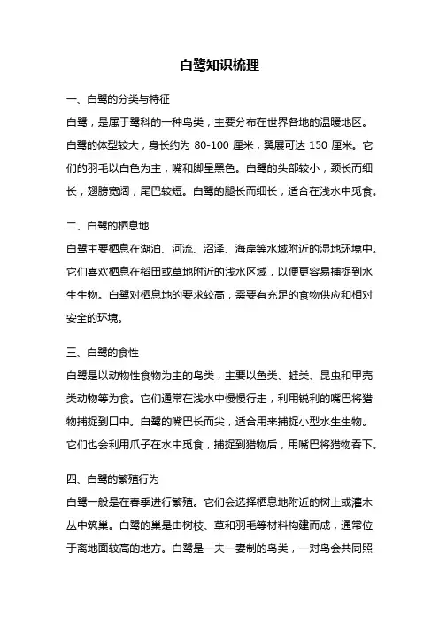 白鹭知识梳理