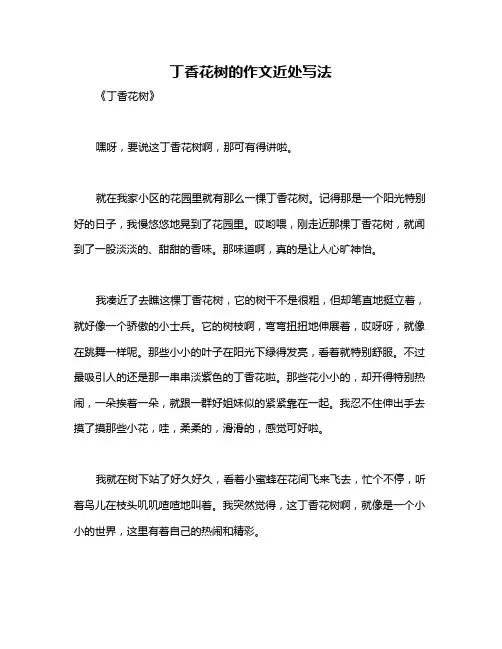 丁香花树的作文近处写法