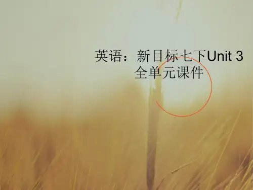 最新-最新七年级英语下册 Unit 3全单元课件 人教新目