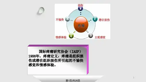 健康教育疼痛PPT课件