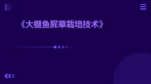 大棚鱼腥草栽培技术
