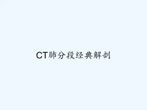 CT肺分段经典解剖-PPT