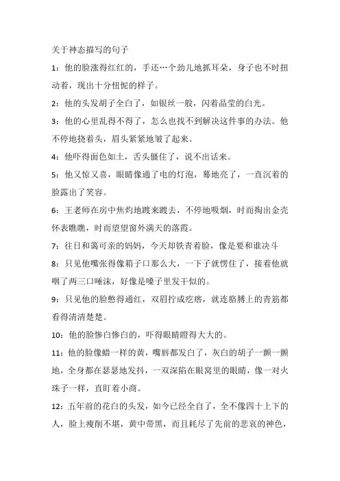 关于神态描写的句子