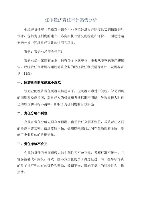 任中经济责任审计案例分析