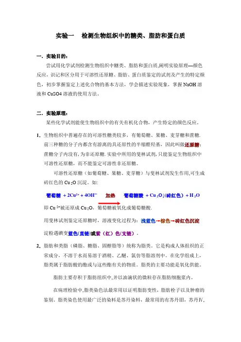 检测生物组织中的糖类、脂肪和蛋白质【范本模板】