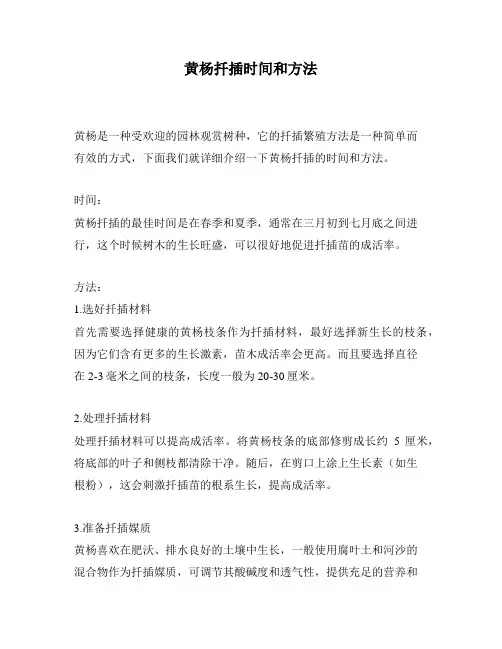 黄杨扦插时间和方法