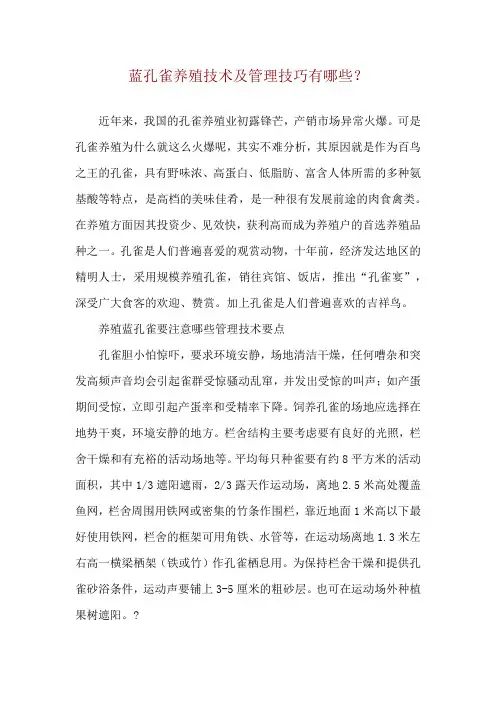 蓝孔雀养殖技术及管理技巧有哪些？