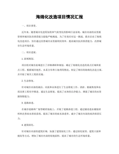 海绵化改造项目情况汇报