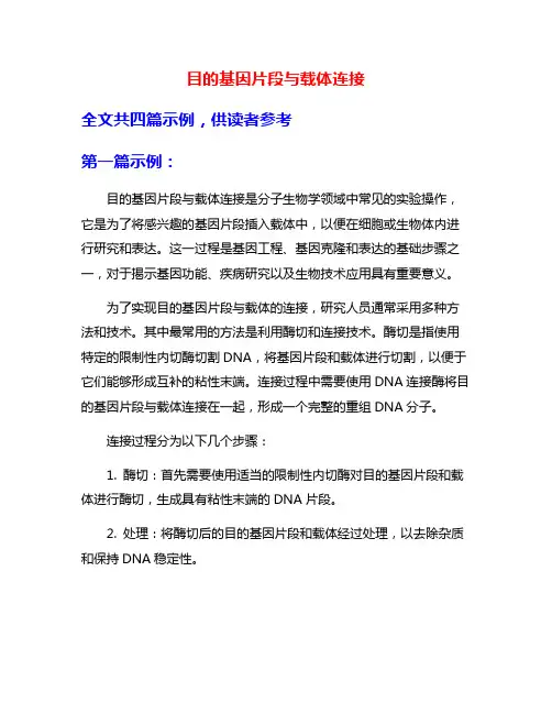 目的基因片段与载体连接