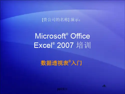 Excel数据透视表  ppt课件