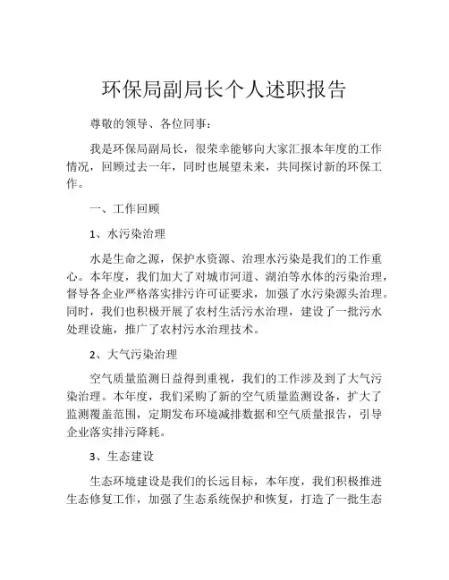 环保局副局长个人述职报告