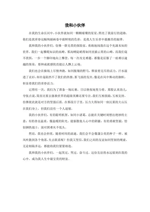 我和小伙伴