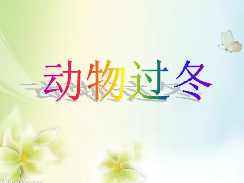 大班动物过冬PPT课件