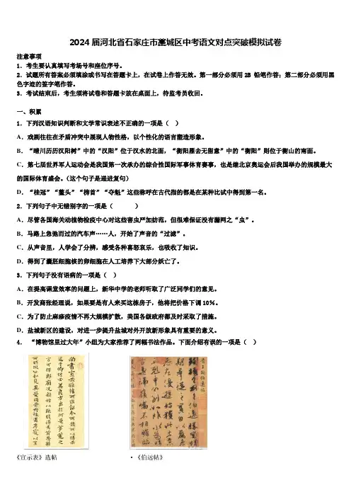 2024届河北省石家庄市藁城区中考语文对点突破模拟试卷含解析