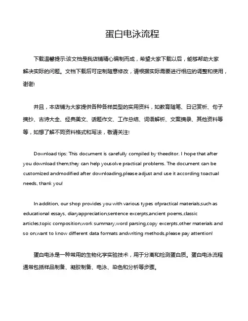 蛋白电泳流程