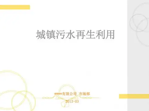 城镇污水再生利用2013