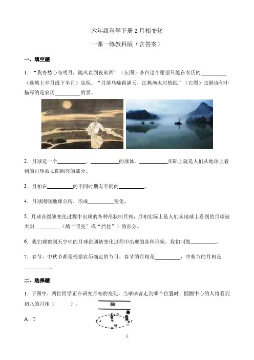 小学六年级科学下册试题  2.月相变化教科版（含答案）