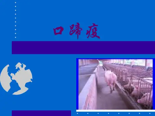 口蹄疫