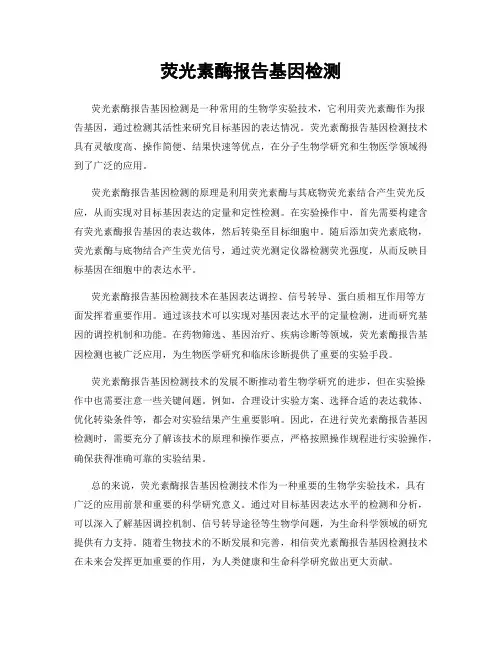 荧光素酶报告基因检测