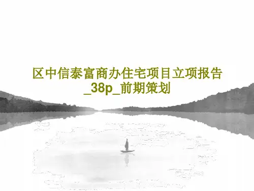 区中信泰富商办住宅项目立项报告_38p_前期策划40页PPT
