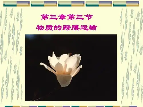 苏教版教学课件物质的跨膜运输 课件 1