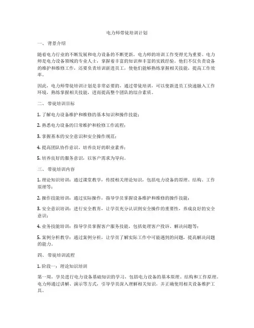 电力师带徒培训计划