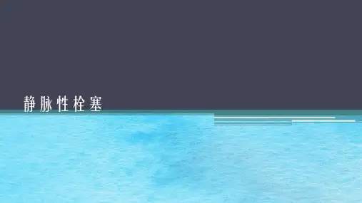 颅内静脉血栓ppt课件