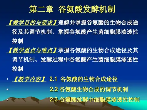 2谷氨酸发酵机制 