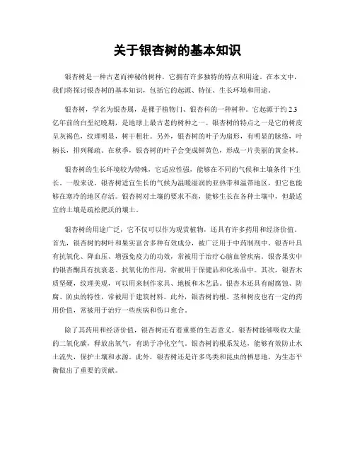 关于银杏树的基本知识