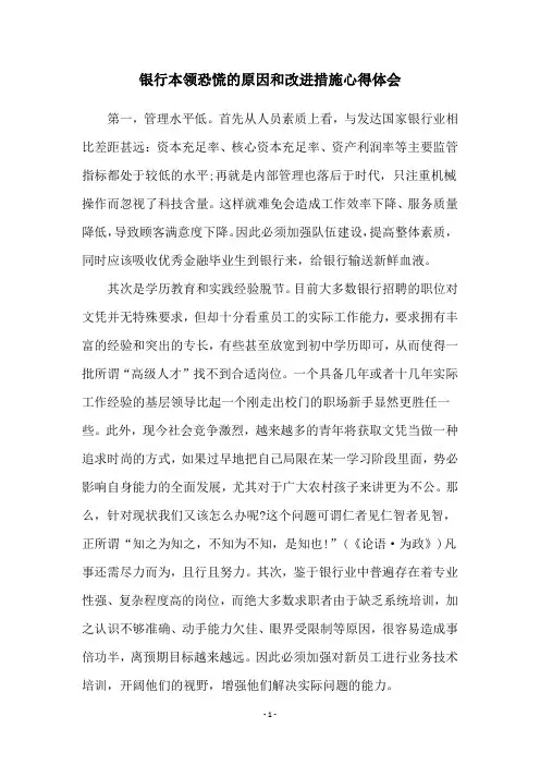 银行本领恐慌的原因和改进措施心得体会