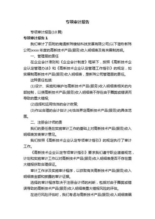 专项审计报告