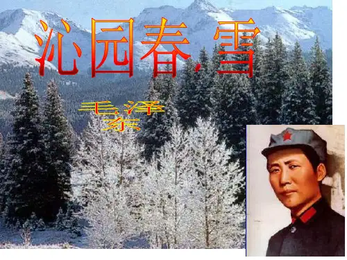 《沁园春雪》上课用