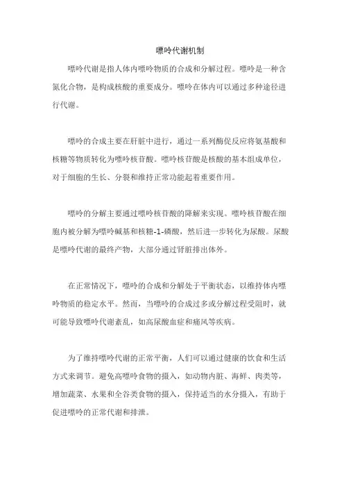 嘌呤代谢机制