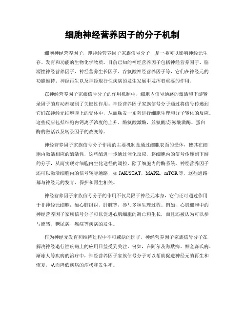 细胞神经营养因子的分子机制