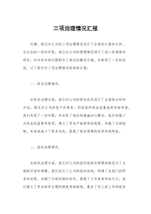 三项治理情况汇报
