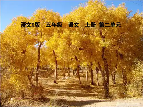 五级语文上册西风胡杨-完整版PPT课件